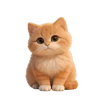 搜索
