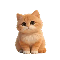 睡觉